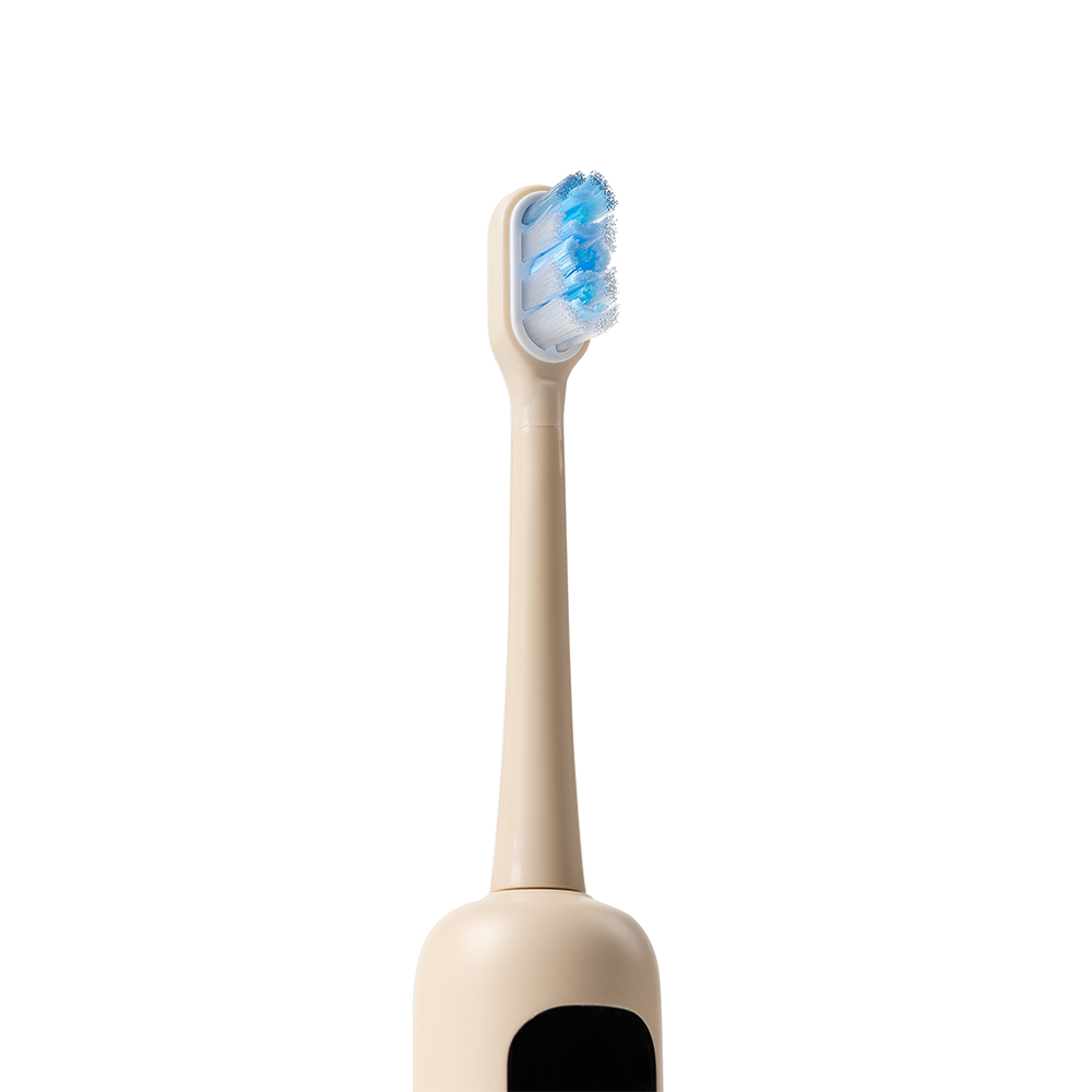 Mori Pro Toothbrush Head