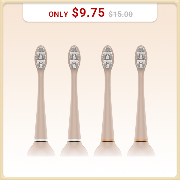 MORI Toothbrush head