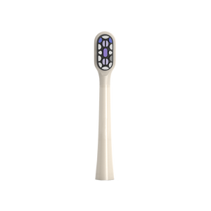Mori Pro Toothbrush Head
