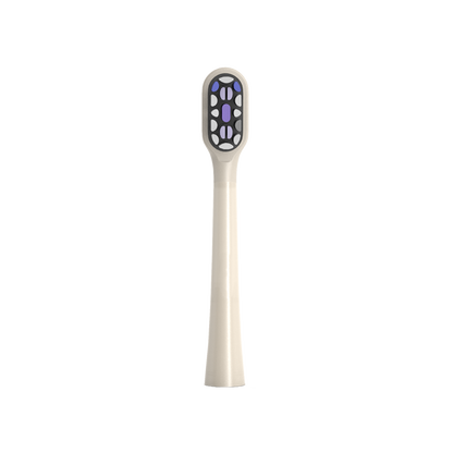 Mori Pro Toothbrush Head