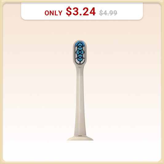 Mori Pro Toothbrush Head